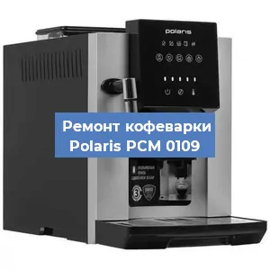 Замена прокладок на кофемашине Polaris PCM 0109 в Тюмени